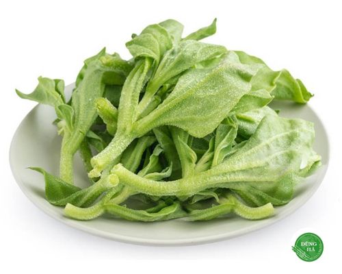 Bật mí nơi bán rau bông tuyết “hiếm có khó tìm” tại Việt Nam