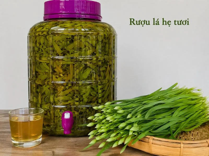 Cách ngâm rượu lá hẹ đúng chuẩn, uống là thấy rõ